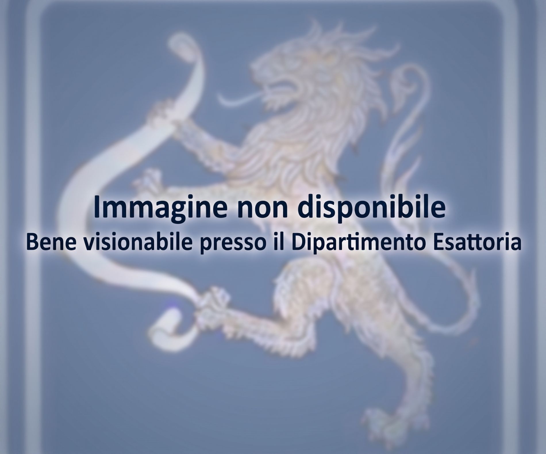 Immagine non disponibile
